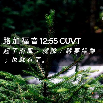 Picture 02 - 路 加 福 音 12:55 CUVT - 起 了 南 風 ， 就 說 ： 將 要 燥 熱 - Bible Verse Picture