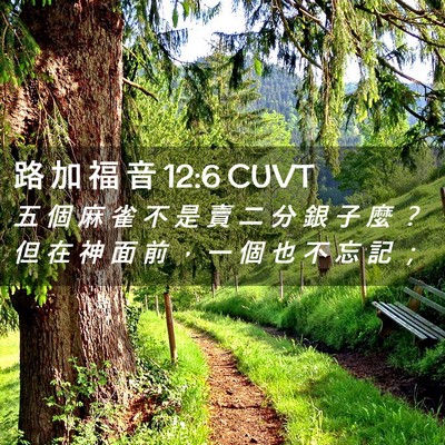 Picture 02 - 路 加 福 音 12:6 CUVT - 五 個 麻 雀 不 是 賣 二 分 銀 子 麼 - Bible Verse Picture