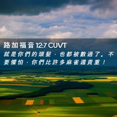 Picture 02 - 路 加 福 音 12:7 CUVT - 就 是 你 們 的 頭 髮 ， 也 都 被 數 - Bible Verse Picture