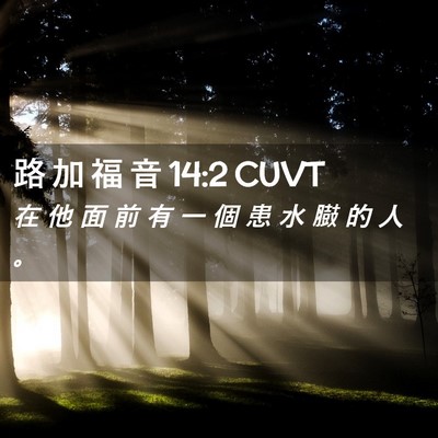 Picture 02 - 路 加 福 音 14:2 CUVT - 在 他 面 前 有 一 個 患 水 臌 的 人 - Bible Verse Picture