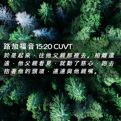 Picture 02 - 路 加 福 音 15:20 CUVT - 於 是 起 來 ， 往 他 父 親 那 裡 去 - Bible Verse Picture