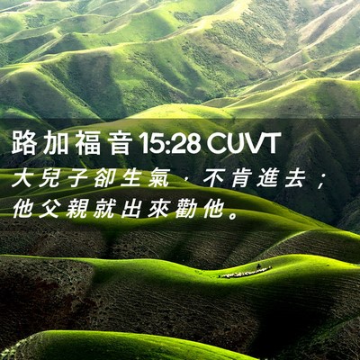 Picture 02 - 路 加 福 音 15:28 CUVT - 大 兒 子 卻 生 氣 ， 不 肯 進 去 ； - Bible Verse Picture