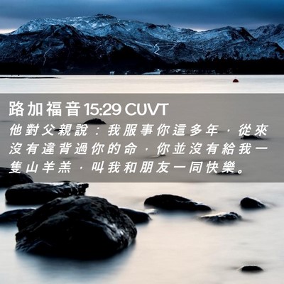 Picture 02 - 路 加 福 音 15:29 CUVT - 他 對 父 親 說 ： 我 服 事 你 這 多 - Bible Verse Picture