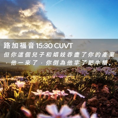 Picture 02 - 路 加 福 音 15:30 CUVT - 但 你 這 個 兒 子 和 娼 妓 吞 盡 了 - Bible Verse Picture