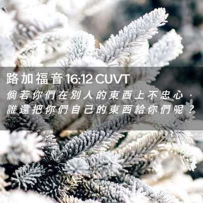 Picture 02 - 路 加 福 音 16:12 CUVT - 倘 若 你 們 在 別 人 的 東 西 上 不 - Bible Verse Picture