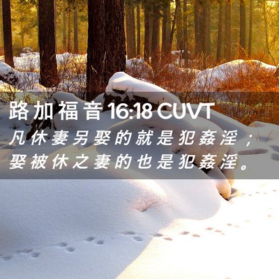 Picture 02 - 路 加 福 音 16:18 CUVT - 凡 休 妻 另 娶 的 就 是 犯 姦 淫 ； - Bible Verse Picture