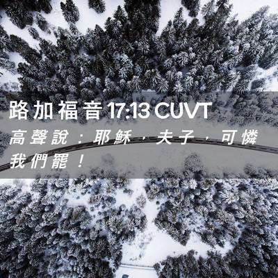 Picture 02 - 路 加 福 音 17:13 CUVT - 高 聲 說 ： 耶 穌 ， 夫 子 ， 可 憐 - Bible Verse Picture