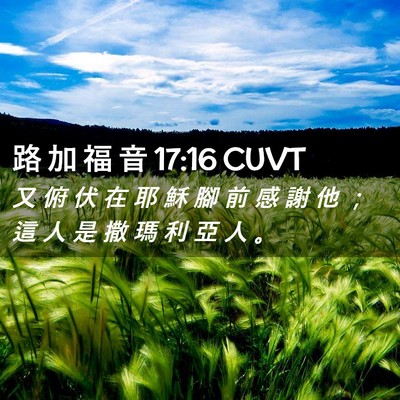 Picture 02 - 路 加 福 音 17:16 CUVT - 又 俯 伏 在 耶 穌 腳 前 感 謝 他 ； - Bible Verse Picture