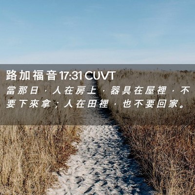 Picture 02 - 路 加 福 音 17:31 CUVT - 當 那 日 ， 人 在 房 上 ， 器 具 在 - Bible Verse Picture