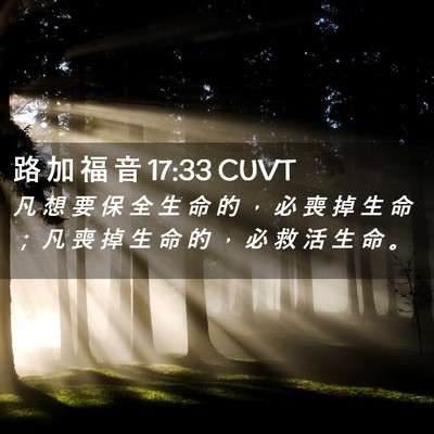 Picture 02 - 路 加 福 音 17:33 CUVT - 凡 想 要 保 全 生 命 的 ， 必 喪 掉 - Bible Verse Picture