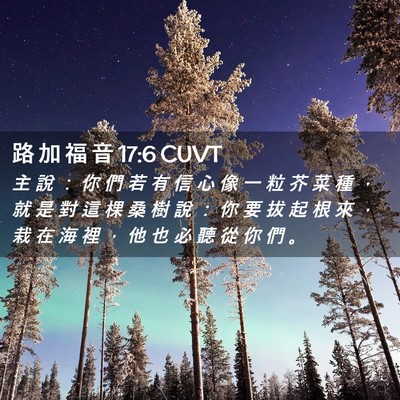 Picture 02 - 路 加 福 音 17:6 CUVT - 主 說 ： 你 們 若 有 信 心 像 一 粒 - Bible Verse Picture