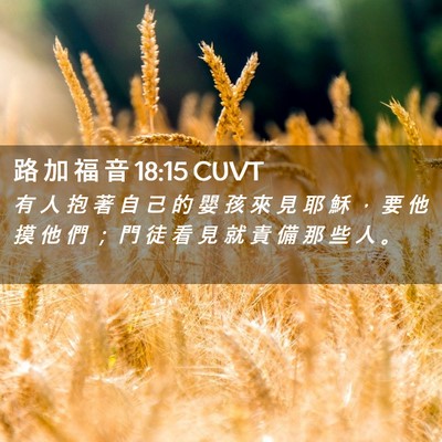 Picture 02 - 路 加 福 音 18:15 CUVT - 有 人 抱 著 自 己 的 嬰 孩 來 見 耶 - Bible Verse Picture