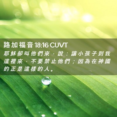 Picture 02 - 路 加 福 音 18:16 CUVT - 耶 穌 卻 叫 他 們 來 ， 說 ： 讓 小 - Bible Verse Picture