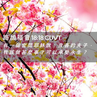 Picture 02 - 路 加 福 音 18:18 CUVT - 有 一 個 官 問 耶 穌 說 ： 良 善 的 - Bible Verse Picture