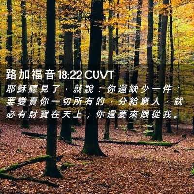 Picture 02 - 路 加 福 音 18:22 CUVT - 耶 穌 聽 見 了 ， 就 說 ： 你 還 缺 - Bible Verse Picture