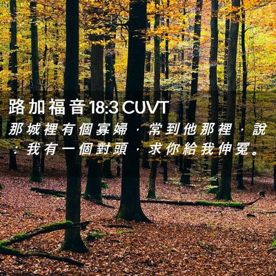 Picture 02 - 路 加 福 音 18:3 CUVT - 那 城 裡 有 個 寡 婦 ， 常 到 他 那 - Bible Verse Picture