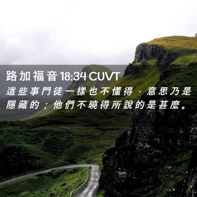 Picture 02 - 路 加 福 音 18:34 CUVT - 這 些 事 門 徒 一 樣 也 不 懂 得 ， - Bible Verse Picture