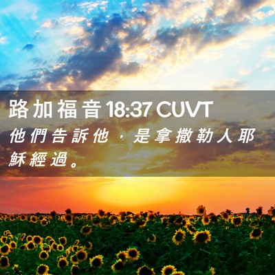 Picture 02 - 路 加 福 音 18:37 CUVT - 他 們 告 訴 他 ， 是 拿 撒 勒 人 耶 - Bible Verse Picture