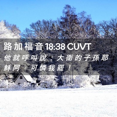 Picture 02 - 路 加 福 音 18:38 CUVT - 他 就 呼 叫 說 ： 大 衛 的 子 孫 耶 - Bible Verse Picture