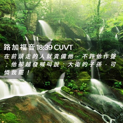 Picture 02 - 路 加 福 音 18:39 CUVT - 在 前 頭 走 的 人 就 責 備 他 ， 不 - Bible Verse Picture
