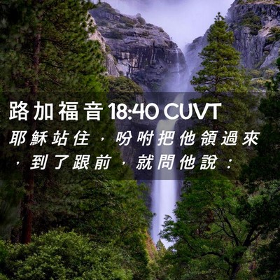 Picture 02 - 路 加 福 音 18:40 CUVT - 耶 穌 站 住 ， 吩 咐 把 他 領 過 來 - Bible Verse Picture