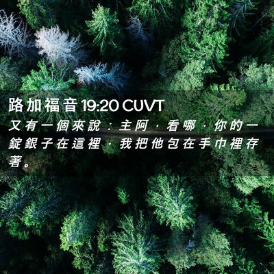 Picture 02 - 路 加 福 音 19:20 CUVT - 又 有 一 個 來 說 ： 主 阿 ， 看 哪 - Bible Verse Picture