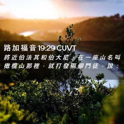 Picture 02 - 路 加 福 音 19:29 CUVT - 將 近 伯 法 其 和 伯 大 尼 ， 在 一 - Bible Verse Picture