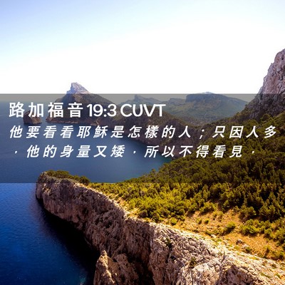 Picture 02 - 路 加 福 音 19:3 CUVT - 他 要 看 看 耶 穌 是 怎 樣 的 人 ； - Bible Verse Picture