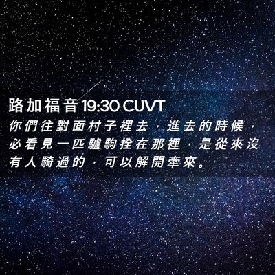 Picture 02 - 路 加 福 音 19:30 CUVT - 你 們 往 對 面 村 子 裡 去 ， 進 去 - Bible Verse Picture