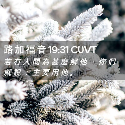 Picture 02 - 路 加 福 音 19:31 CUVT - 若 有 人 問 為 甚 麼 解 他 ， 你 們 - Bible Verse Picture