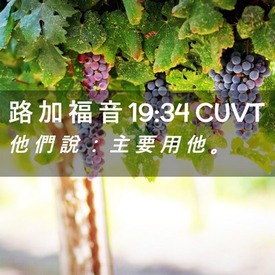 Picture 02 - 路 加 福 音 19:34 CUVT - 他 們 說 ： 主 要 用 他 - Bible Verse Picture