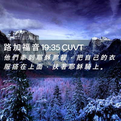 Picture 02 - 路 加 福 音 19:35 CUVT - 他 們 牽 到 耶 穌 那 裡 ， 把 自 己 - Bible Verse Picture