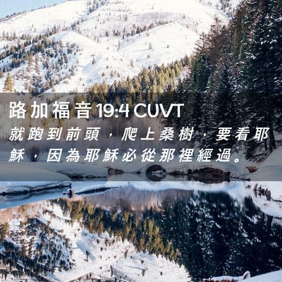 Picture 02 - 路 加 福 音 19:4 CUVT - 就 跑 到 前 頭 ， 爬 上 桑 樹 ， 要 - Bible Verse Picture