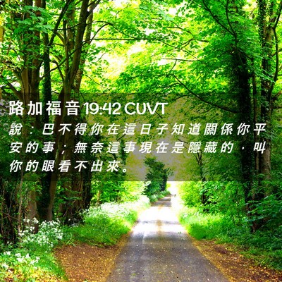 Picture 02 - 路 加 福 音 19:42 CUVT - 說 ： 巴 不 得 你 在 這 日 子 知 道 - Bible Verse Picture