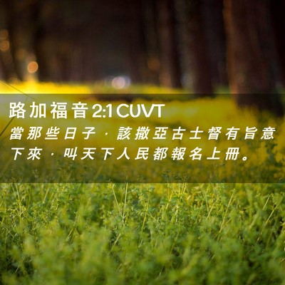 Picture 02 - 路 加 福 音 2:1 CUVT - 當 那 些 日 子 ， 該 撒 亞 古 士 督 - Bible Verse Picture