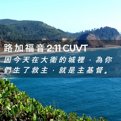 Picture 02 - 路 加 福 音 2:11 CUVT - 因 今 天 在 大 衛 的 城 裡 ， 為 你 - Bible Verse Picture