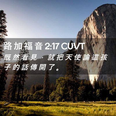 Picture 02 - 路 加 福 音 2:17 CUVT - 既 然 看 見 ， 就 把 天 使 論 這 孩 - Bible Verse Picture