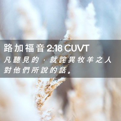 Picture 02 - 路 加 福 音 2:18 CUVT - 凡 聽 見 的 ， 就 詫 異 牧 羊 之 人 - Bible Verse Picture