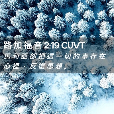 Picture 02 - 路 加 福 音 2:19 CUVT - 馬 利 亞 卻 把 這 一 切 的 事 存 在 - Bible Verse Picture