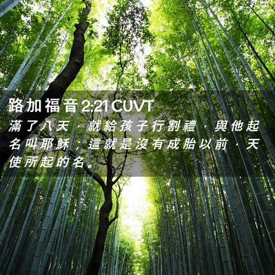 Picture 02 - 路 加 福 音 2:21 CUVT - 滿 了 八 天 ， 就 給 孩 子 行 割 禮 - Bible Verse Picture