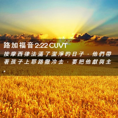 Picture 02 - 路 加 福 音 2:22 CUVT - 按 摩 西 律 法 滿 了 潔 淨 的 日 子 - Bible Verse Picture