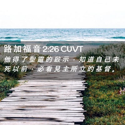 Picture 02 - 路 加 福 音 2:26 CUVT - 他 得 了 聖 靈 的 啟 示 ， 知 道 自 - Bible Verse Picture