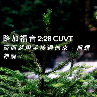 Picture 02 - 路 加 福 音 2:28 CUVT - 西 面 就 用 手 接 過 他 來 ， 稱 頌 - Bible Verse Picture