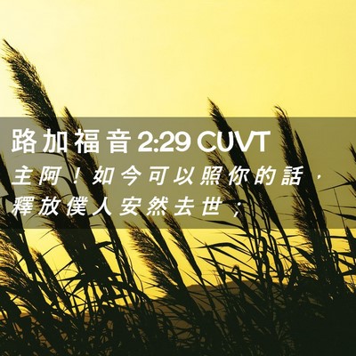Picture 02 - 路 加 福 音 2:29 CUVT - 主 阿 ！ 如 今 可 以 照 你 的 話 ， - Bible Verse Picture