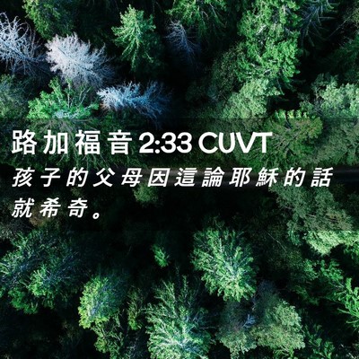 Picture 02 - 路 加 福 音 2:33 CUVT - 孩 子 的 父 母 因 這 論 耶 穌 的 話 - Bible Verse Picture