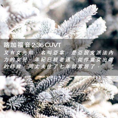 Picture 02 - 路 加 福 音 2:36 CUVT - 又 有 女 先 知 ， 名 叫 亞 拿 ， 是 - Bible Verse Picture
