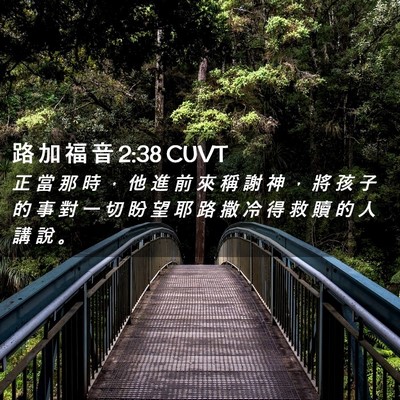 Picture 02 - 路 加 福 音 2:38 CUVT - 正 當 那 時 ， 他 進 前 來 稱 謝 神 - Bible Verse Picture