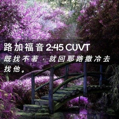 Picture 02 - 路 加 福 音 2:45 CUVT - 既 找 不 著 ， 就 回 耶 路 撒 冷 去 - Bible Verse Picture