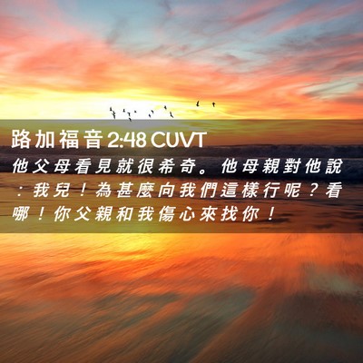 Picture 02 - 路 加 福 音 2:48 CUVT - 他 父 母 看 見 就 很 希 奇 。 他 母 - Bible Verse Picture