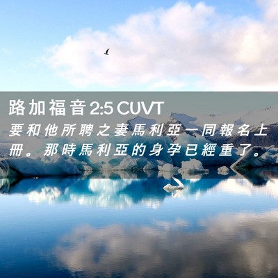 Picture 02 - 路 加 福 音 2:5 CUVT - 要 和 他 所 聘 之 妻 馬 利 亞 一 同 - Bible Verse Picture
